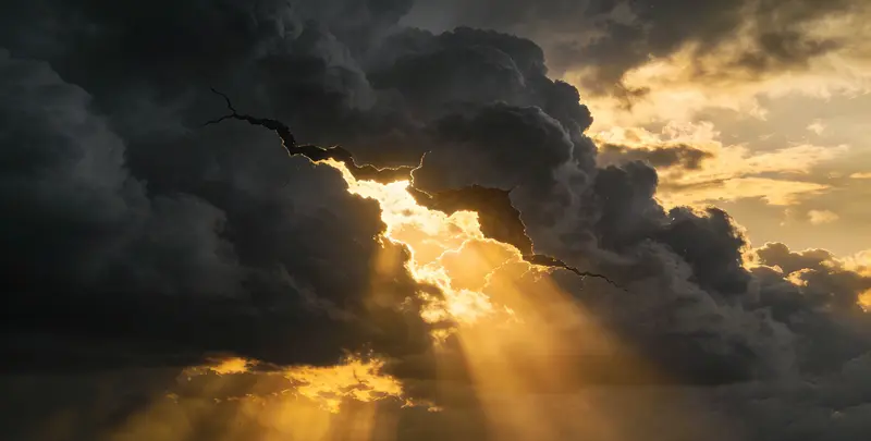 通化肺癌11基因检测组织版图片1