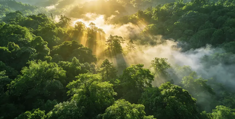 通化肺癌8基因突变检测（组织）图片1