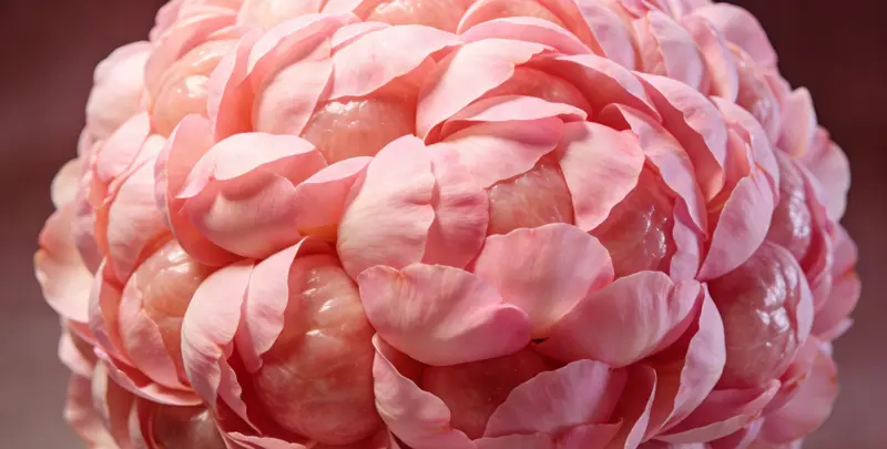 通化BRCA1/2乳腺癌卵巢癌基因检测图片1